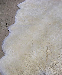 Sheep Skin   repair rate